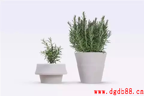 硅膠制品