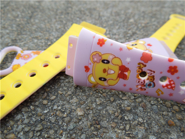 DSCN5108.jpg