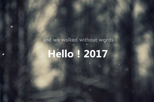 2016帝博硅膠制品有限公司